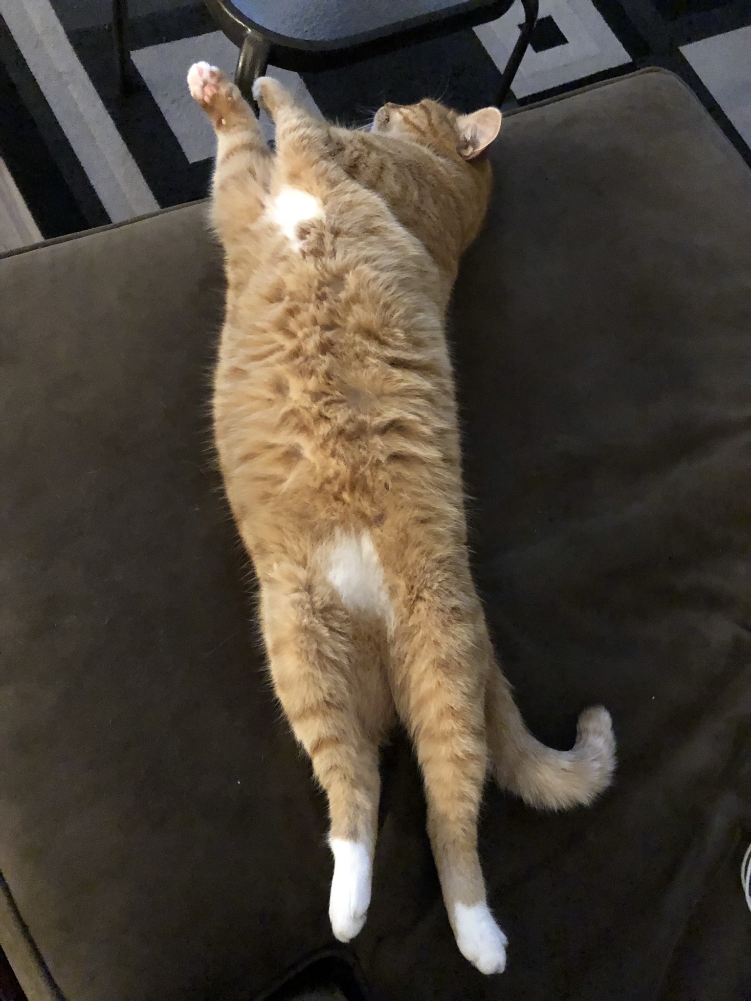 melvin